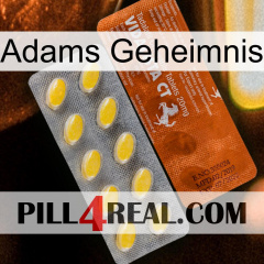 Adams Secret 42